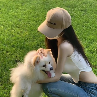 少数意见